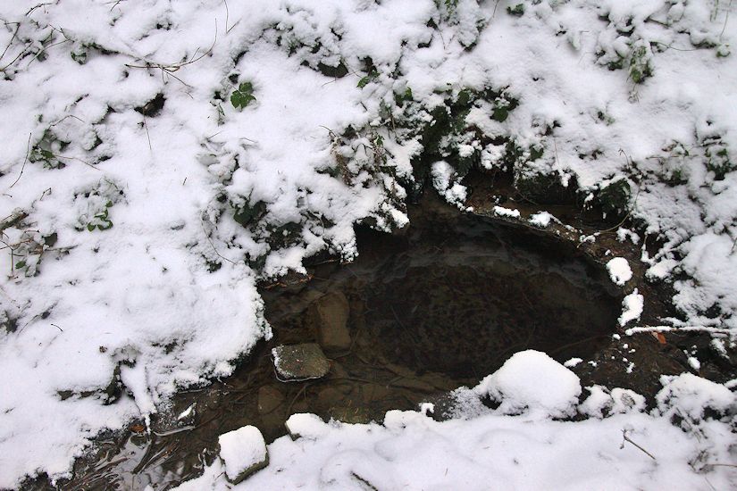 studánka Pod Vaculy (9375) - leden 2015