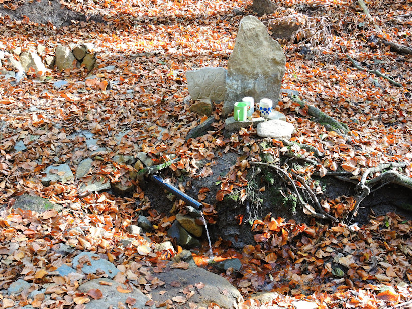 studánka V Kržlích (9383) - říjen 2019
