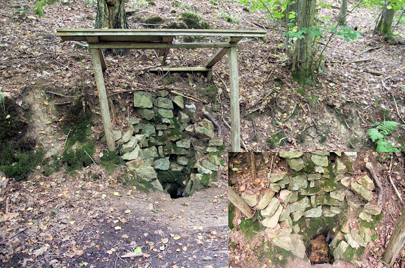 studánka bez jména (9387) - leden 2015