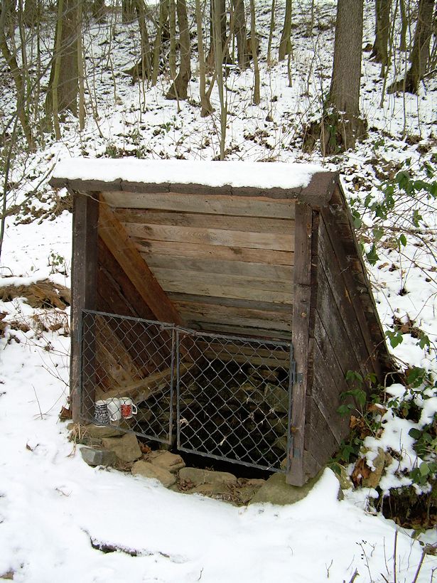 studánka bez jména (9388) - leden 2015