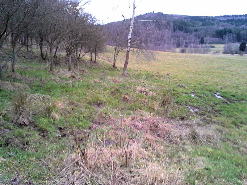 prameniště V pařízkách (9392) - leden 2015