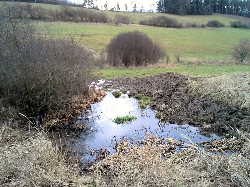 prameniště Ve dvorcích (9393) - leden 2015