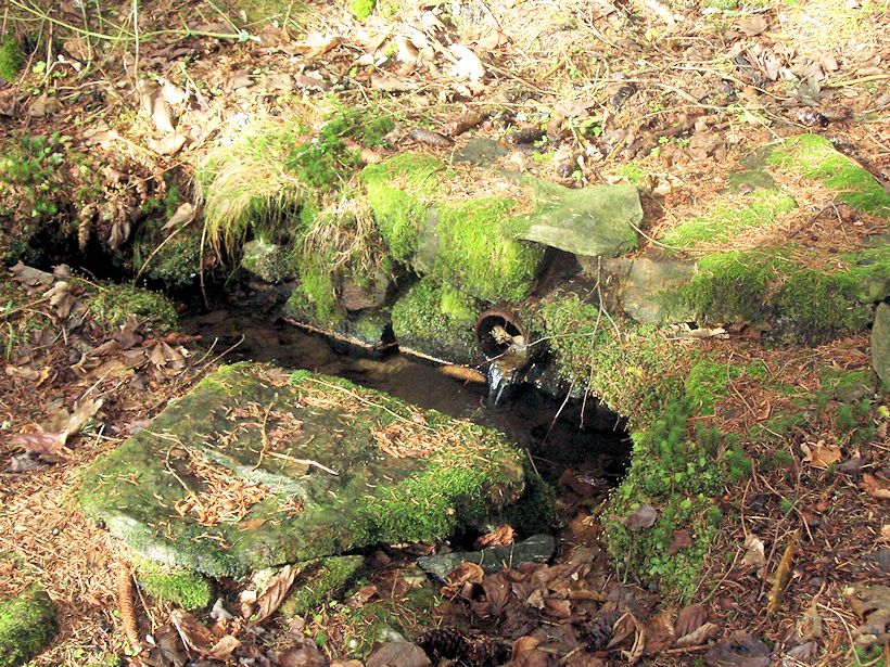 studánka Zlatokopecká (9397) - leden 2015