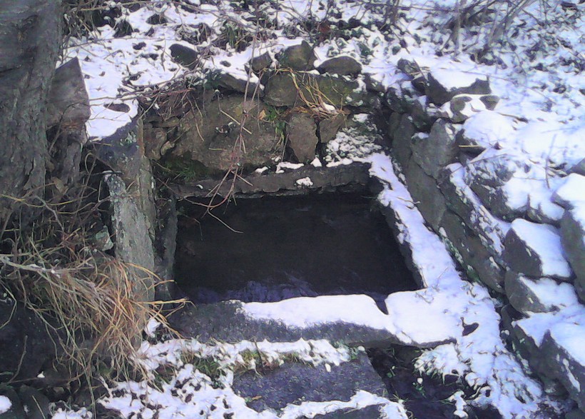 studánka U Studničky (9401) - leden 2015