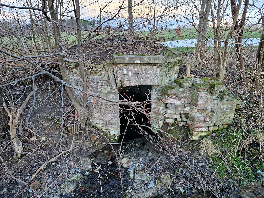 Žižkova studánka (9402) - leden 2023