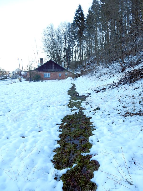 pramen Nad knajpovištěm (9413) - leden 2015