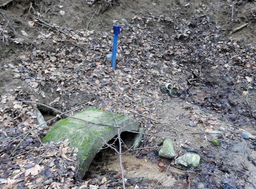 studánka Pod Jestřabím (9421) - leden 2015