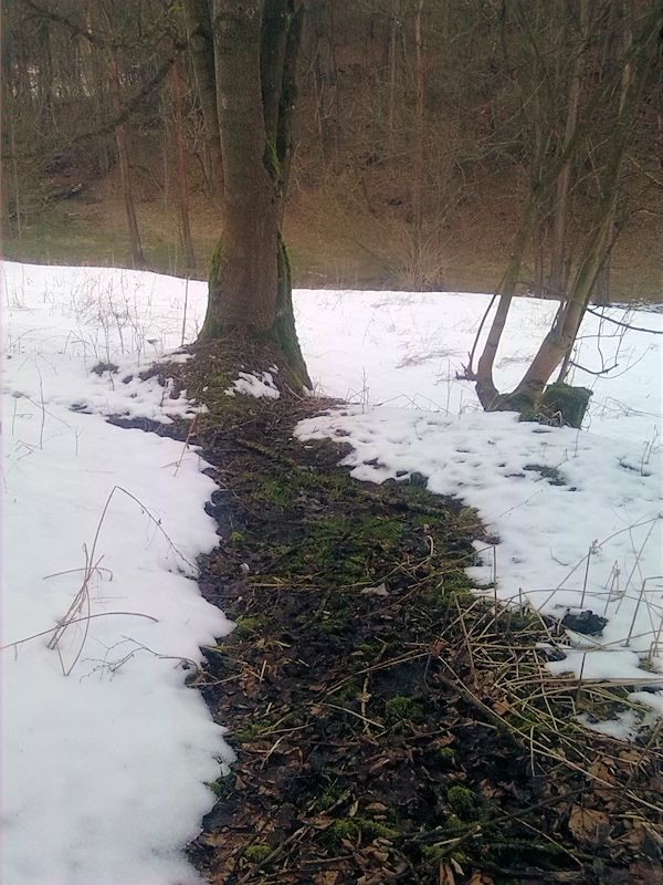 pramen Na dolním konci (9464) - únor 2015