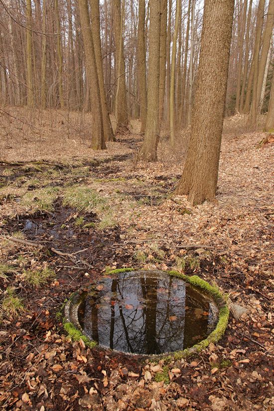 studánka U jedle (9497) - březen 2015
