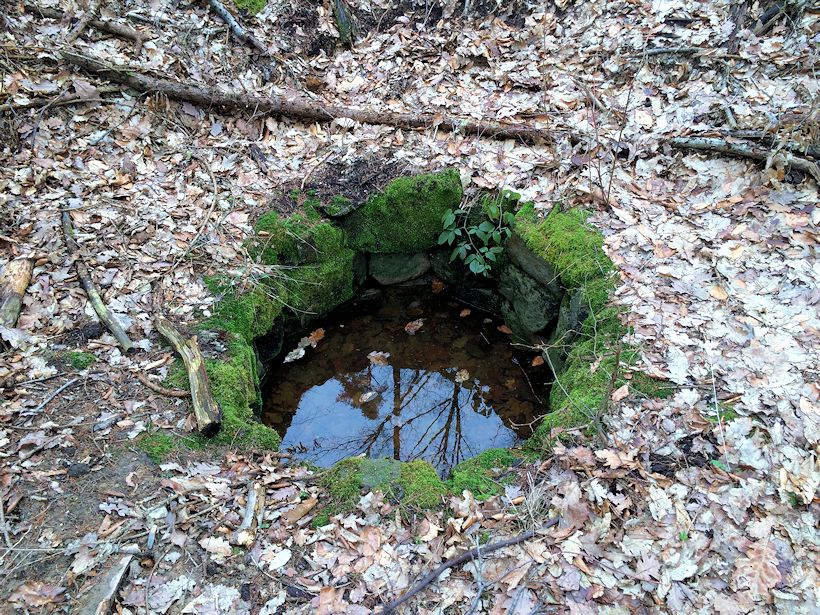 studánka Snopkova (9506) - březen 2015