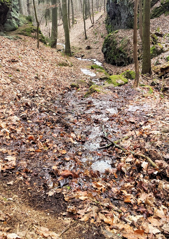 Blatenský pramen (9507) - březen 2015