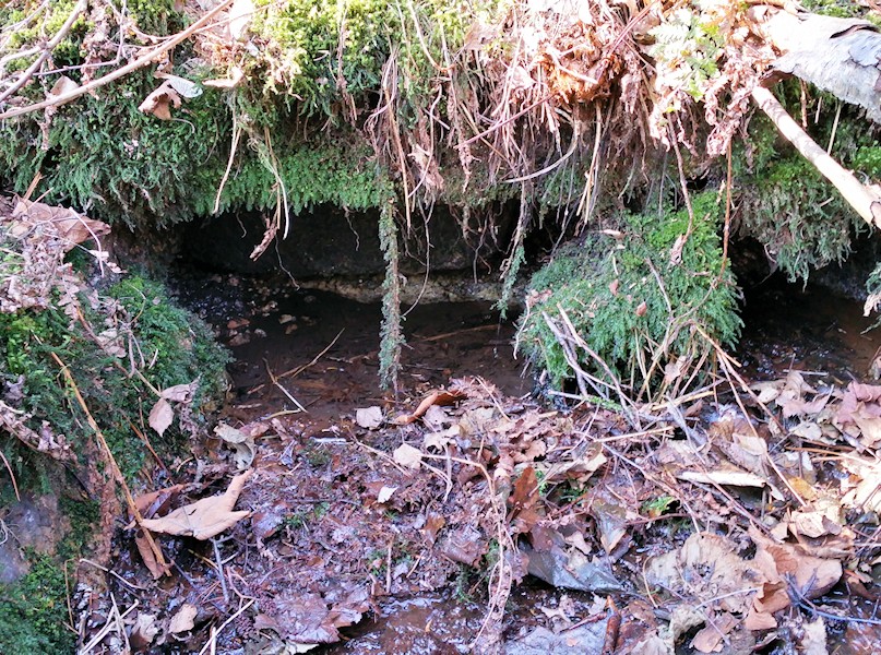 studánka Pod Rohanem (9513) - březen 2015