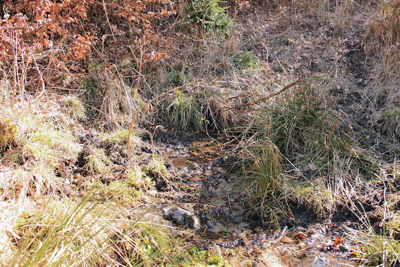 Katova studánka (9516) - březen 2015
