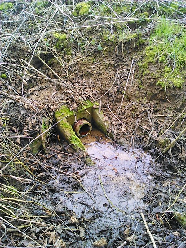 pramen Na Padělcích (9525) - březen 2015