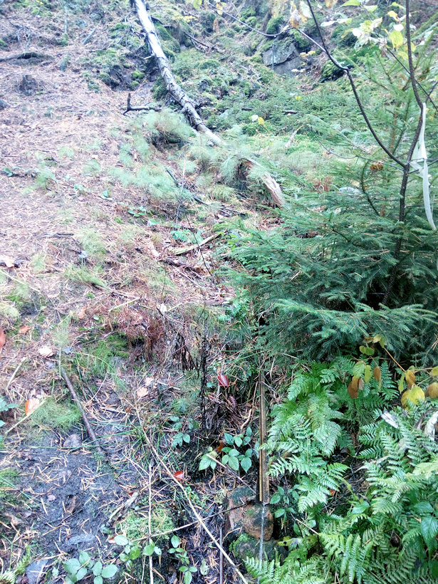 studánka Pod Skalou (9530) - datum neznámé