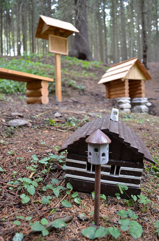 studánka V Kašově koutě (9550) - červen 2015