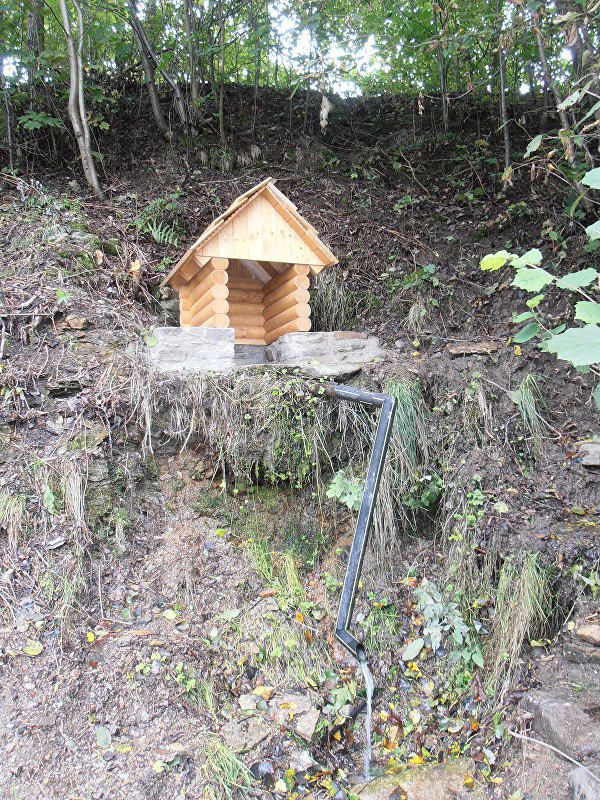 studánka U Bezděkova (9554) - červen 2015