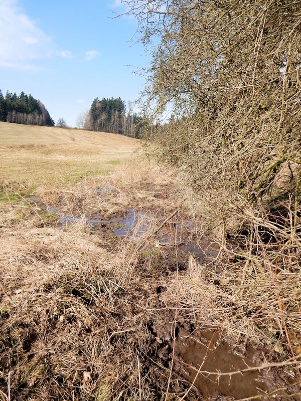 prameniště Na Dostálově (9583) - březen 2015