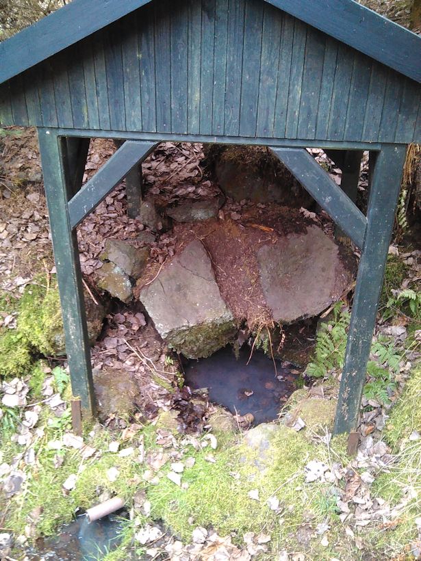 studánka U Panenky Marie (9608) - duben 2015