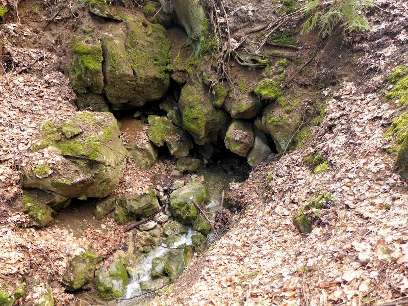 Rachavská vyvěračka (9616) - duben 2015