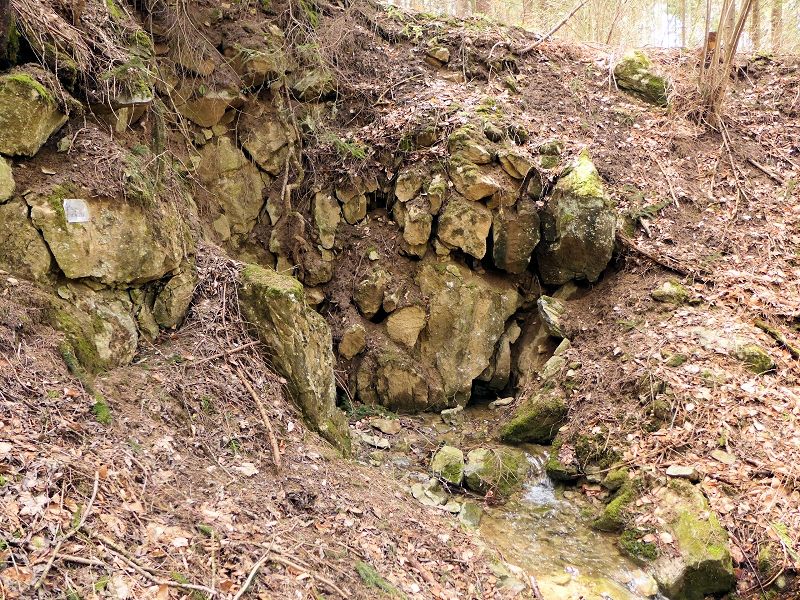 vyvěračka Andělička (9617) - duben 2015