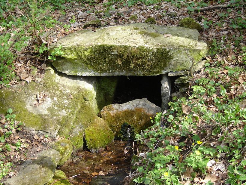 studánka Pod skálou (9621) - duben 2015