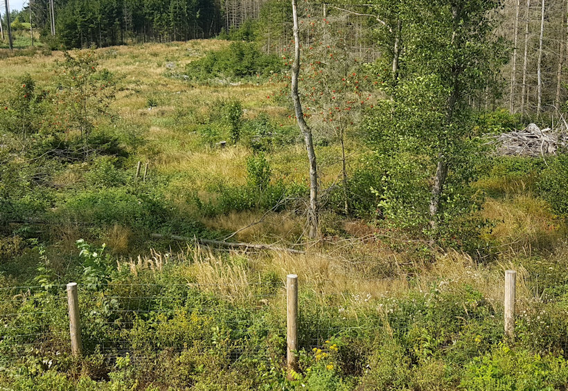 studánka Bezdíkov (9626) - srpen 2022