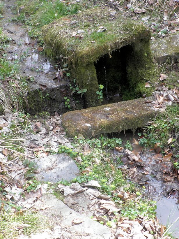 studánka bez jména (9627) - duben 2015