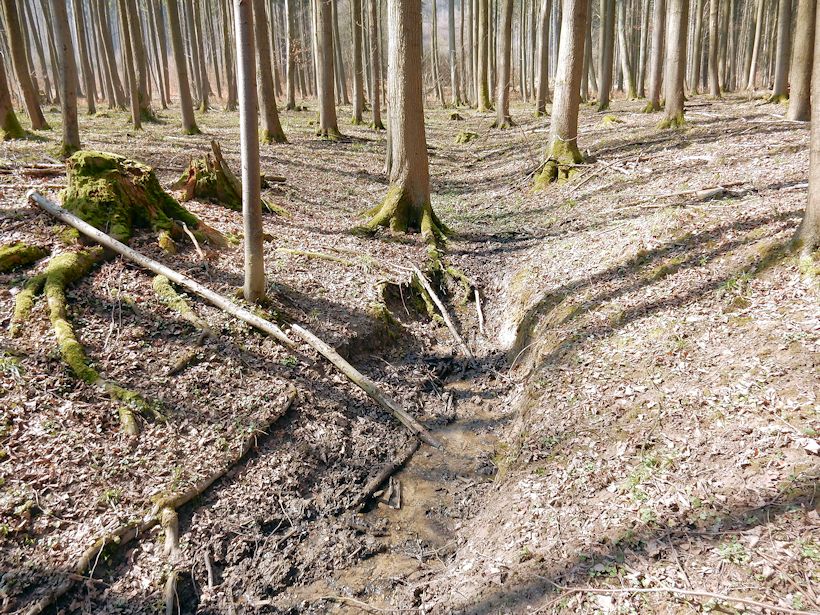 pramen V Státním lese (9633) - duben 2015