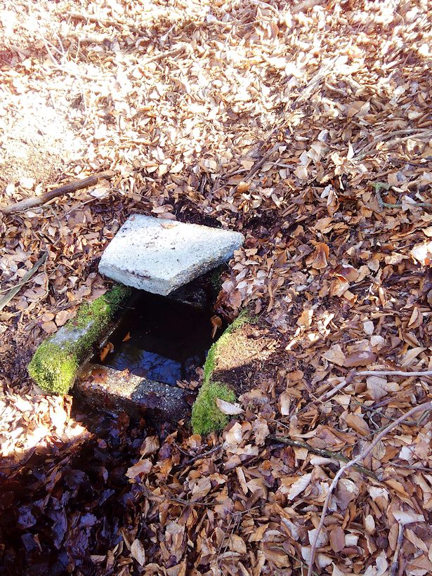 studánka Veselá (9637) - duben 2015