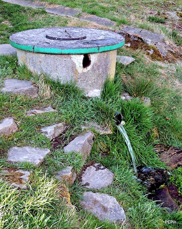 studánka Pod kapličkou (9644) - duben 2015