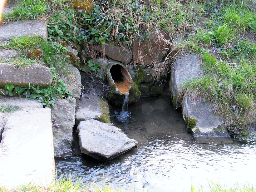 studánka U drenážku (9648) - duben 2015