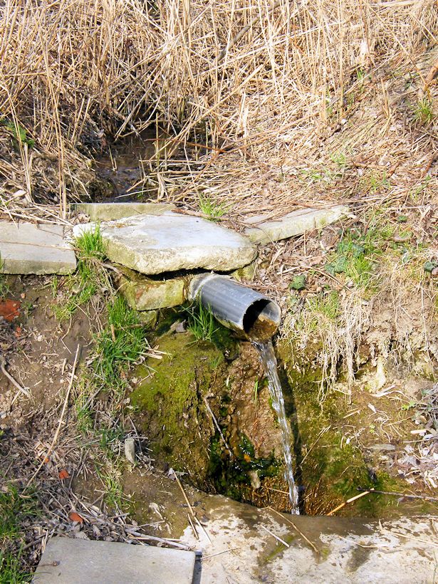 studánka bez jména (9649) - duben 2015