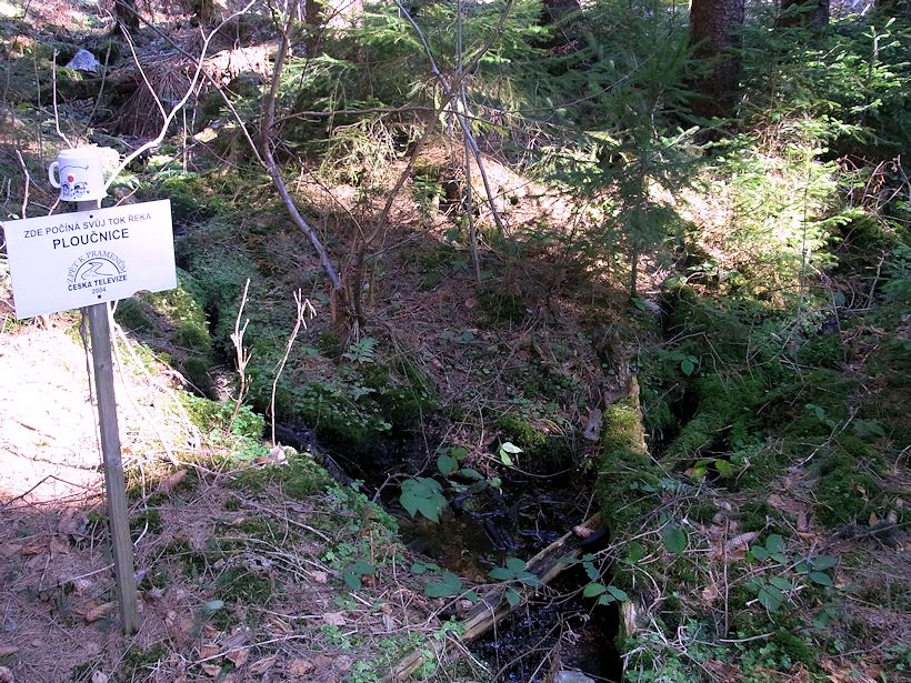 prameniště Horní Ploučnice (9650) - duben 2015