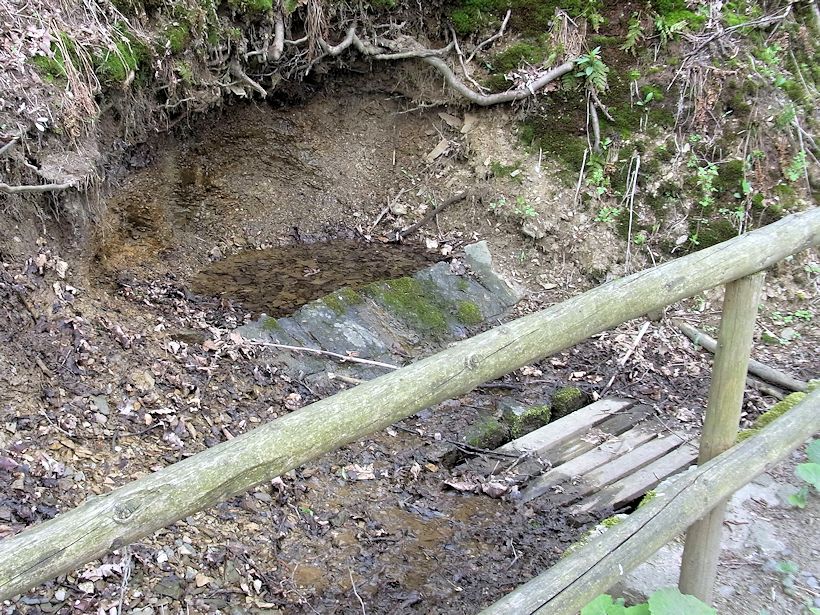 studánka U Dolních Plání (9655) - duben 2015