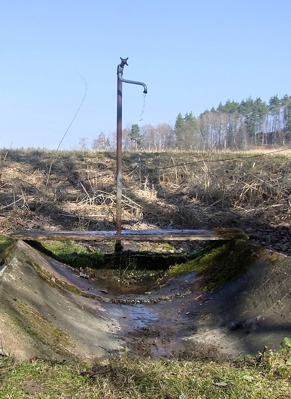 jiný vodní zdroj V Kotli (9656) - duben 2015