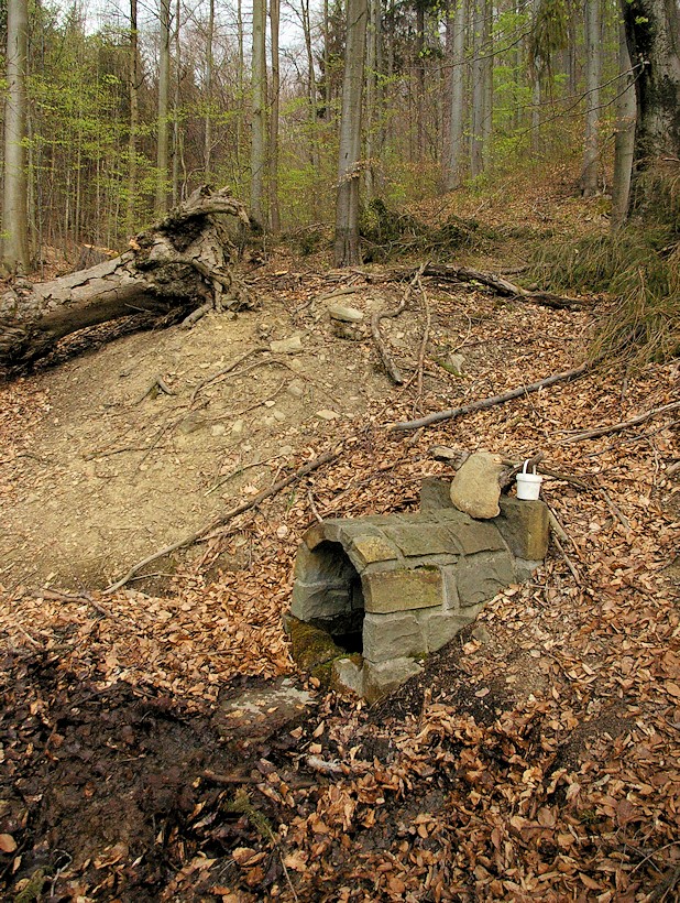 studánka V Dubníku (9678) - duben 2015