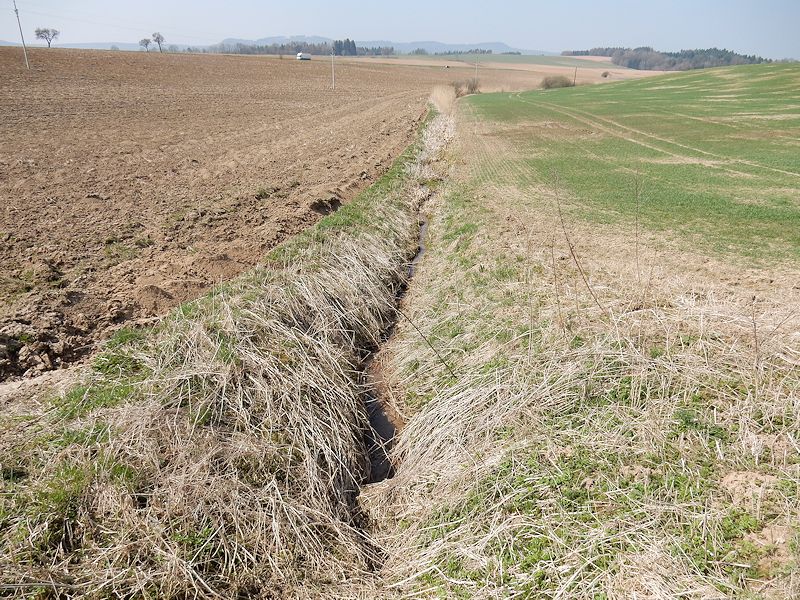 pramen Radišovský potok 2 (9688) - duben 2015