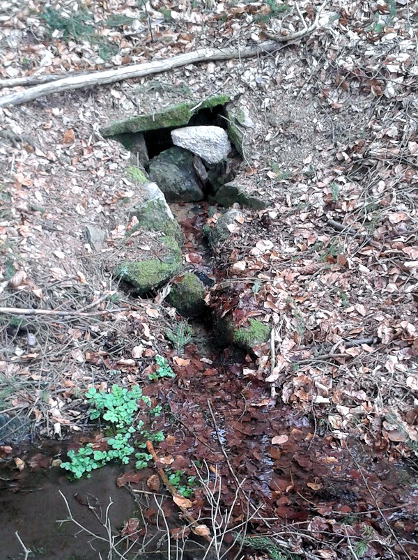 studánka U Vlků (9695) - duben 2015