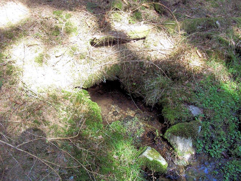 studánka Pod skálou (9698) - duben 2015