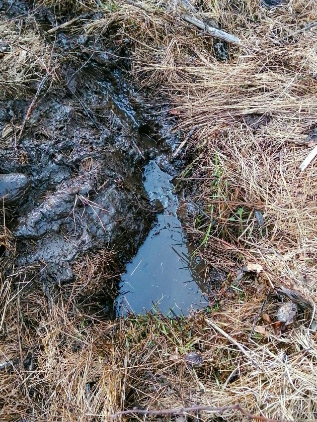 pramen Na Příčkách (9718) - březen 2024