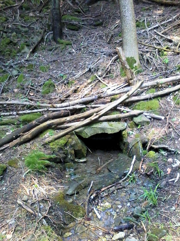 studánka U Ondrášů (9738) - květen 2015