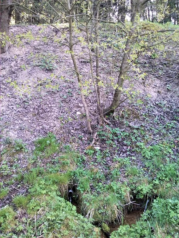 studánka Na volavkách (9754) - květen 2015