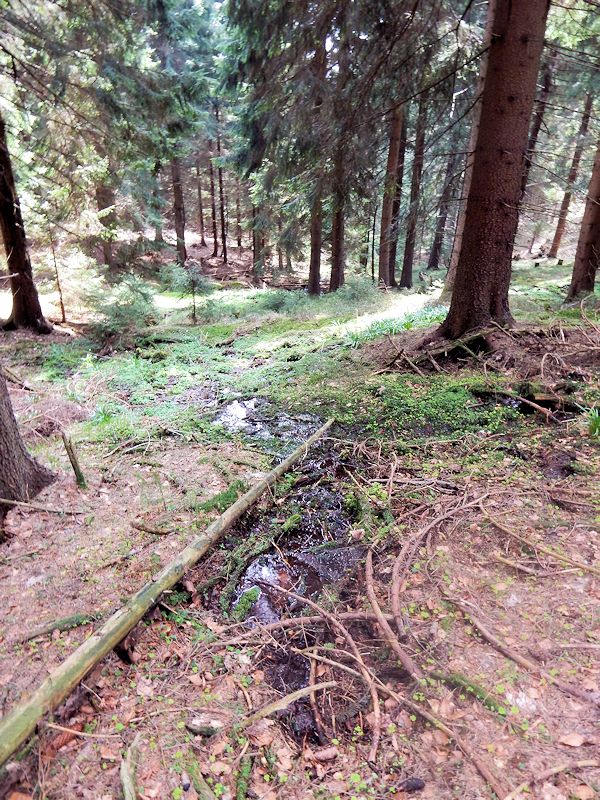 pramen Pod cestou (9759) - květen 2015