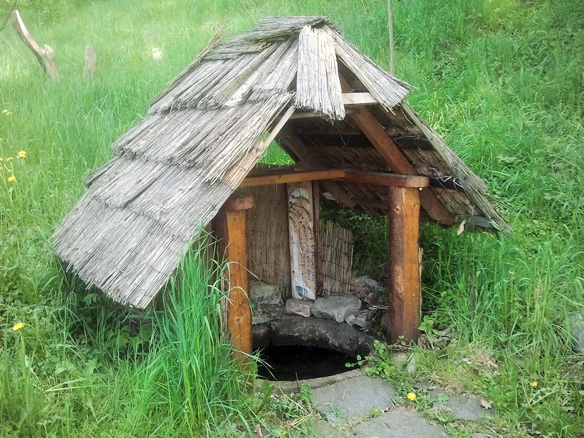 studánka bez jména (9762) - květen 2015