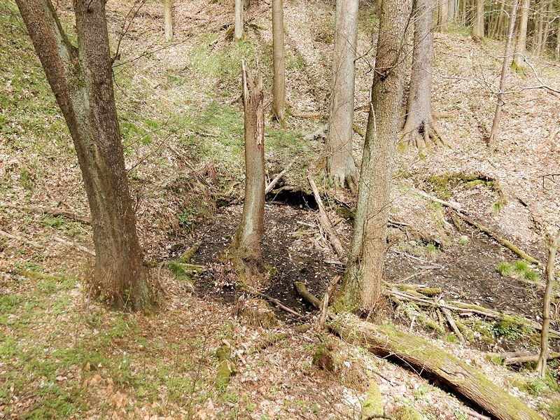 pramen Pod první loukou (9782) - květen 2015