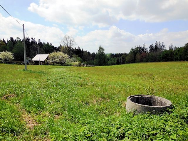 pramen Nad Petrkovem (9795) - květen 2015