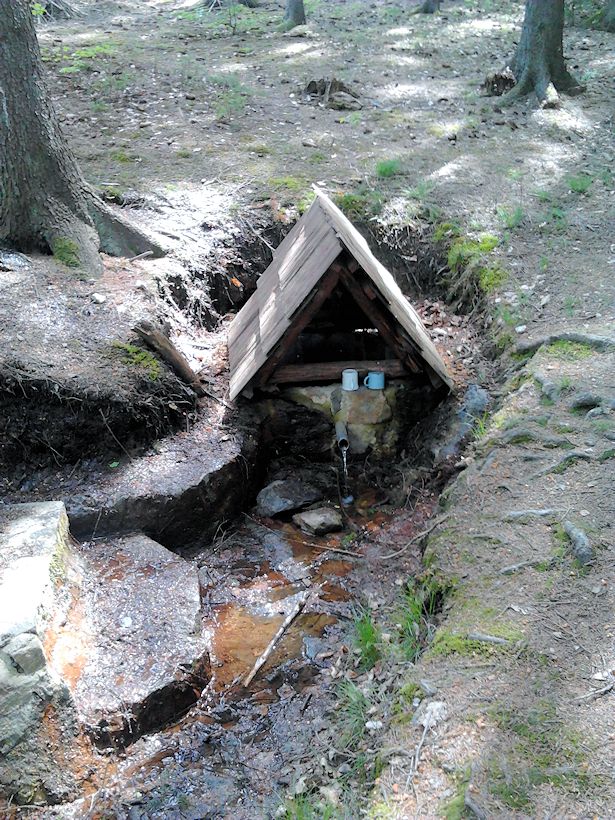 Tesařova studánka (9822) - květen 2015