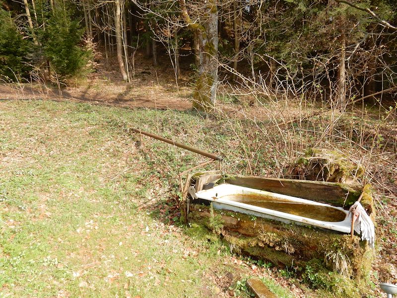 jiný vodní zdroj U hřbitova (9843) - květen 2015