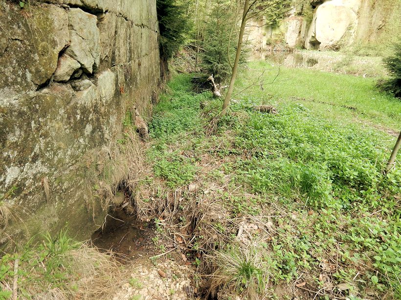 pramen U jezírka (9855) - květen 2015